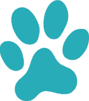 Patita